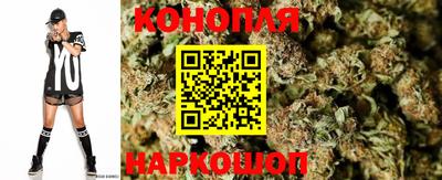 гидропоника Малгобек
