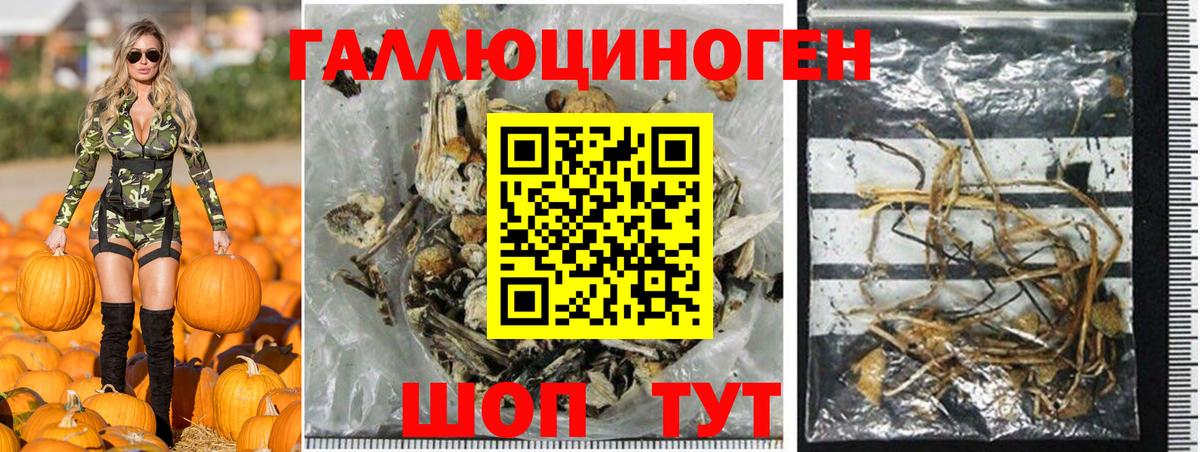 Галлюциногенные грибы GOLDEN TEACHER  Вход с VPN  Ивантеевка 